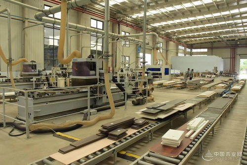 智能制造 融通未來 中國板材與定制家居大會探索環境工程新路徑