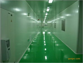 凈化工程與凈化廠房建設(shè) 谷瀑環(huán)保環(huán)境工程的高清視覺解析